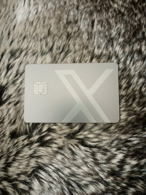 A silver metal card featuring a large 'X' design and an EMV chip rests on a furry, leopard-print surface.