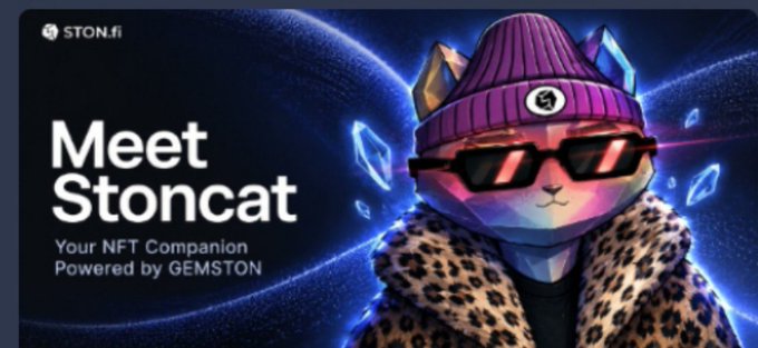 A promotional banner for 'STON.fi' introducing 'Meet Stoncat - Your NFT Companion Powered by GEMSTON,' showing an illustrated cat character wearing a purple beanie, sunglasses, and a leopard print coat.