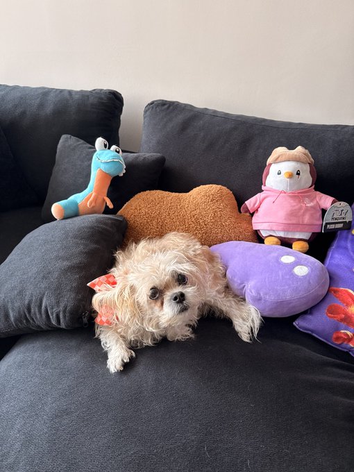 A small, fluffy dog with a pink bow rests on a dark gray couch surrounded by plush toys, including a dinosaur, a brown bone, and a pink penguin.