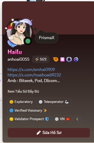 A PrismaX profile card for user 'Hailu' (anhoai0055) listing roles like Explorer, Teleoperator, Verified Visionary, and Validator Prospect, with links to x.com and Bitseek.