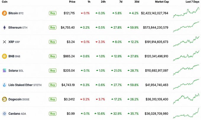 A cryptocurrency market dashboard shows major coins including Bitcoin ($121,715), Ethereum ($4,755.40), XRP ($3.24), BNB ($865.24), Solana ($205.04), and others, with most displaying strong 7-day and 30-day gains—particularly Cardano ADA at +35.7% over 30 days and Solana SOL at +28.7%. The bullish green charts across all listed coins reflect the cyclical boom referenced in the caption about patient long-term crypto investing.