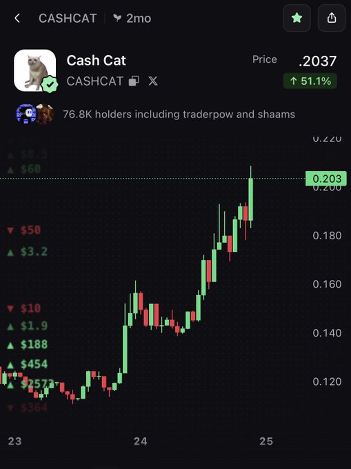 A candlestick chart showing the CASHCAT token price at .2037, up 51.1% over a 2-month period with 76.8K holders, illustrating the post's claim about the token climbing back above $200M market cap.