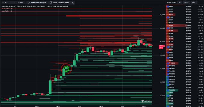 A TradingView chart of BTC/USD displays a "Whole Order Analysis" with a massive cluster of red sell walls stacked between $81,000-$83,000 (including a notable $10.7M sell order at $82,000) on the right order book panel, while the price hovers near $79,000, visually confirming the post's observation about heavy resistance overhead and dense whale bid support extending down toward $70,000.