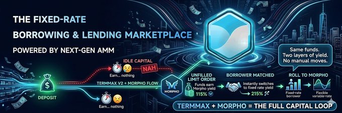 An infographic titled 'THE FIXED-RATE BORROWING & LENDING MARKETPLACE POWERED BY NEXT-GEN AMM' illustrates the TERMMAX + MORPHO capital loop flow from deposit to idle capital, morpho matching, and rolling to morpho with yields of 115% and 215%.