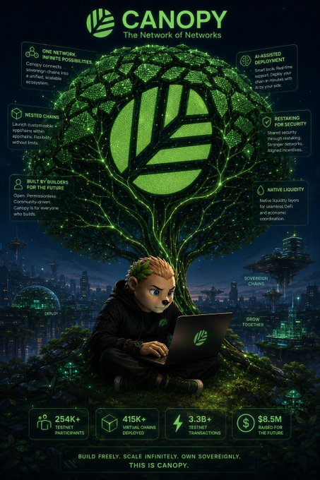 Marketing infographic for Canopy, 'The Network of Networks,' showcasing features like 'One Network Infinite Possibilities,' 'Hested Chains,' 'AI-Assisted Deployment,' and statistics including 254K+ testnet participants and $8.5M raised.