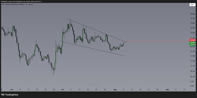 A TradingView candlestick chart shows $BSV/USDT on Binance at a current price of 13.07 USDT, with a descending channel pattern highlighted and a horizontal red resistance line drawn at 13.07, corresponding to the post's discussion about breaking 13.22 for a potential rally toward the 13.80-15.50 USDT target levels.