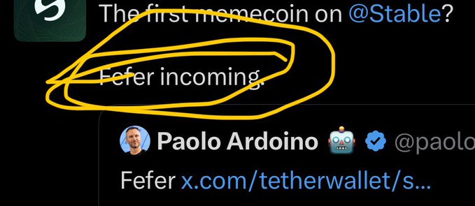 The image shows a social media post announcing "The first memecoin on @Stable? Fefer incoming," with a reply from Paolo Ardoino (@paolo... linked to x.com/tetherwallet), highlighting Fefer as a new memecoin on Stable's network. 

The caption doesn't directly relate to the post about $CASHCAT and Robinhood chain, as this image is promoting a different memecoin (Fefer) on a different platform (Stable), rather than discussing $CASHCAT's early market cap accumulation.