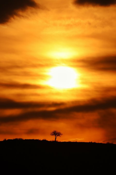 A dramatic sunset with a glowing sun partially obscured by orange clouds, with a small silhouetted tree standing on the dark horizon.