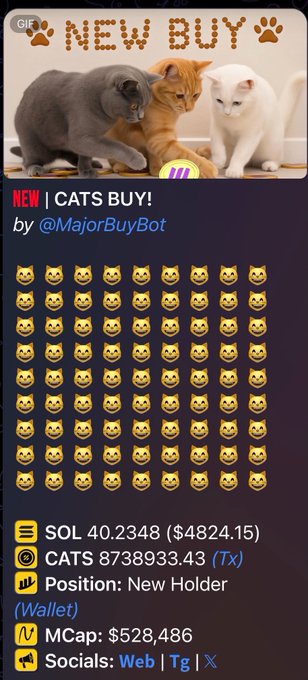 A token listing page for 'CATS BUY!' showing a $CATS token price of 40.2348 SOL ($4824.15) with market cap $528,486, positioned as New Holder, created by @MajorBuyBot.