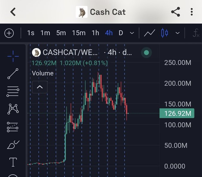 A TradingView chart for "Cash Cat" (CASHCAT/WE...) displaying a 4-hour candlestick view with a volume of 126.92M, showing a sharp price spike followed by a significant downtrend that visually answers the post's question about who dumped $CASHCAT.