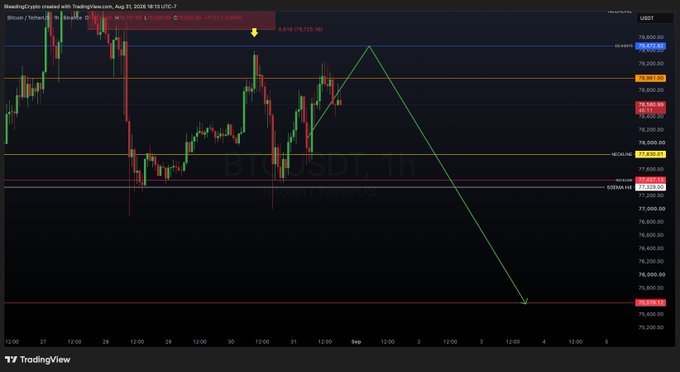A Bitcoin/USD TradingView chart from August 2026 with technical analysis annotations including Fibonacci levels (0.618), a green zigzag pattern, and a downward arrow projection.