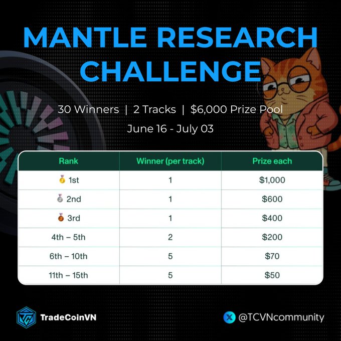 A table is displayed that has information about a mantle research challenge. The challenge has 30 participants, with 20 of them being winners who have won $6,000 prize pool. There are four categories for researchers to join based on their skill level. The top row shows the different prizes available and the bottom row displays the respective rankings for each participant. The table also includes information about Trade CoinVN and the TCOvn Community as the hosting platform for this challenge.