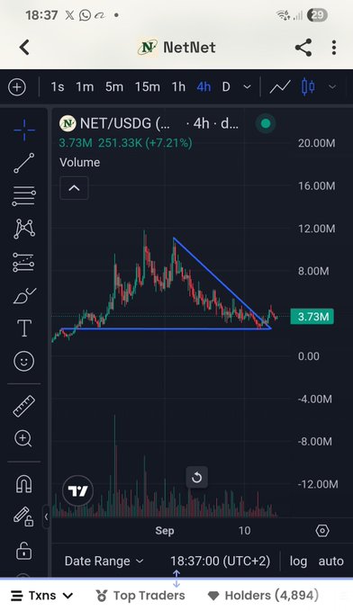 A TradingView chart displays NET/USDG on NetNet with a 4-hour timeframe, showing a 7.21% gain, 3.73M volume, and a descending triangle pattern with 251.33K value at 3.73M. The image provides visual price action context for the post discussing NetNet's institutional infrastructure development on Robinhood Chain.