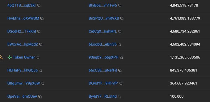 A cryptocurrency token holder list showing wallet addresses and their balances, with the largest holder having 4,843,518.78178 tokens.