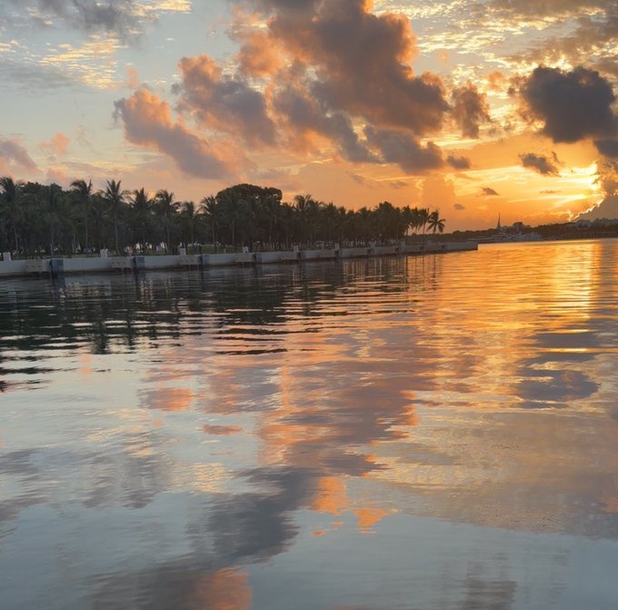 A serene sunset scene over a body of water with palm trees and a walkway silhouetted against the colorful sky.