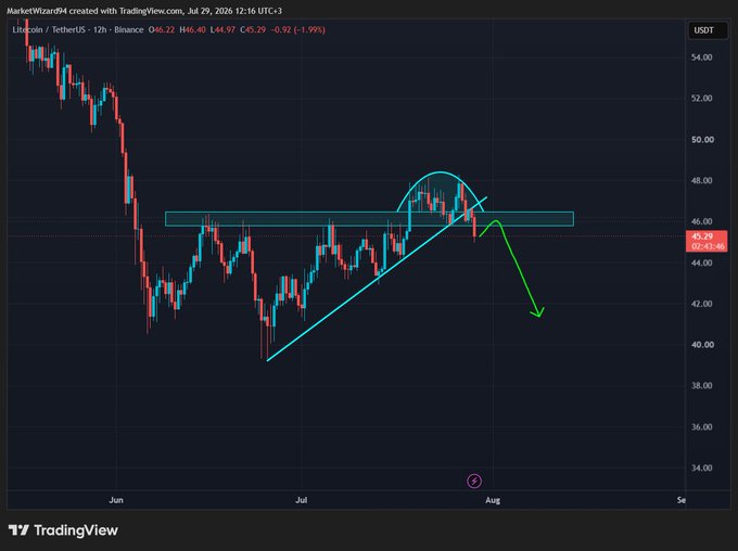 A TradingView chart of Litecoin/USDT (LTCUSDT) on Binance's 12h timeframe shows a potential bearish reversal pattern, with price approaching a resistance zone around $46 and a projected decline toward $42, aligning with the "$LTC plan" post suggesting a short setup. Current price is $45.23, down 1.99%, as marked by the green arrow indicating the expected downward move.