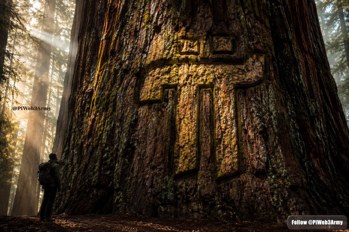 A fantasy-style image showing a person standing at the base of a massive tree with a large Christian cross carved into its trunk, with sunlight streaming through the forest, watermarked "@PiWeb3Arms".