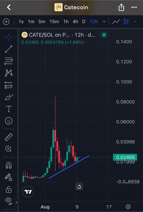 A 12-hour candlestick chart of CATE/SOL on a trading platform shows the token priced at 0.02465, up 1.99%, with a notable price spike in early August followed by a gradual uptrend line. The chart visually supports the post's claim of rapid growth by displaying the meme token's volatile but upward trajectory on the Solana exchange.