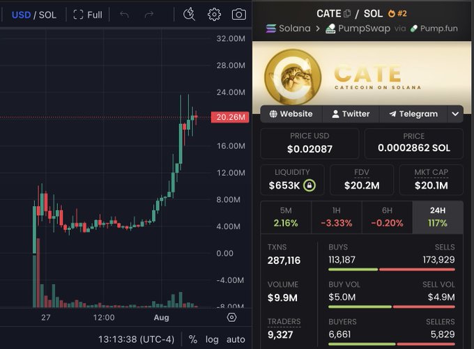The image shows a trading chart and metrics for the memecoin $CATE (CATECOIN ON SOLANA) on the Solana network, currently priced at $0.02087 with a market cap of $20.1M and 117% gains over 24 hours. The post aligns with the bullish momentum displayed, as the chart shows a strong upward spike, supporting the caller's claim that $CATE could reach a $100M market cap from its current ~$20M level.