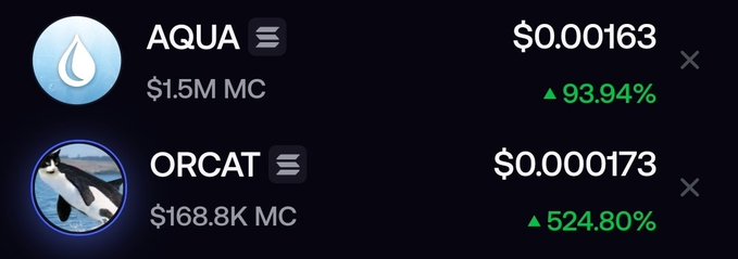 A cryptocurrency market display showing AQUA at $0.00163 with 93.94% gain and $1.5M market cap, and ORCAT at $0.000173 with 524.80% gain and $168.8K market cap.