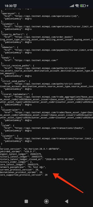 A smartphone screenshot showing JSON-formatted data from the Pi Network testnet API (api.testnet.minepi.com) with an arrow pointing to details about core_latest_ledger and the 'Pi Testnet A03' network passphrase.