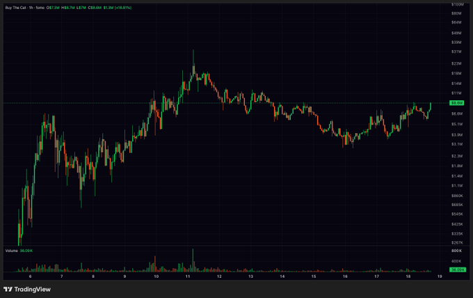 A TradingView chart displaying the price action of Buy The Cat token (1h timeframe), showing a recent price of $0.684 with a 10.92% increase.