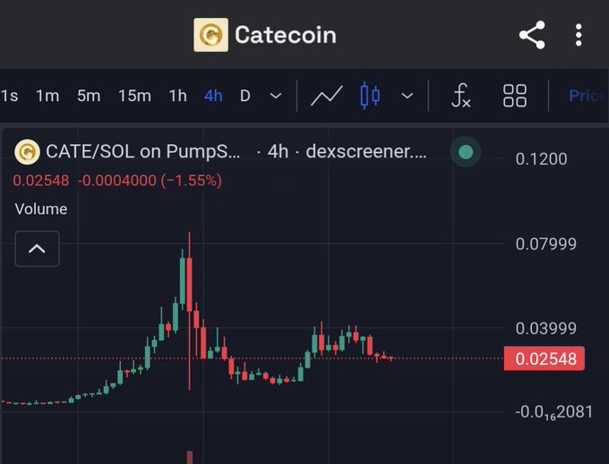 A cryptocurrency chart displays "Catecoin" (CATE/SOL on PumpSwap) on the 4-hour timeframe via dexscreener, showing a price of 0.02548, down 1.55%, with visible volume and price history candles.