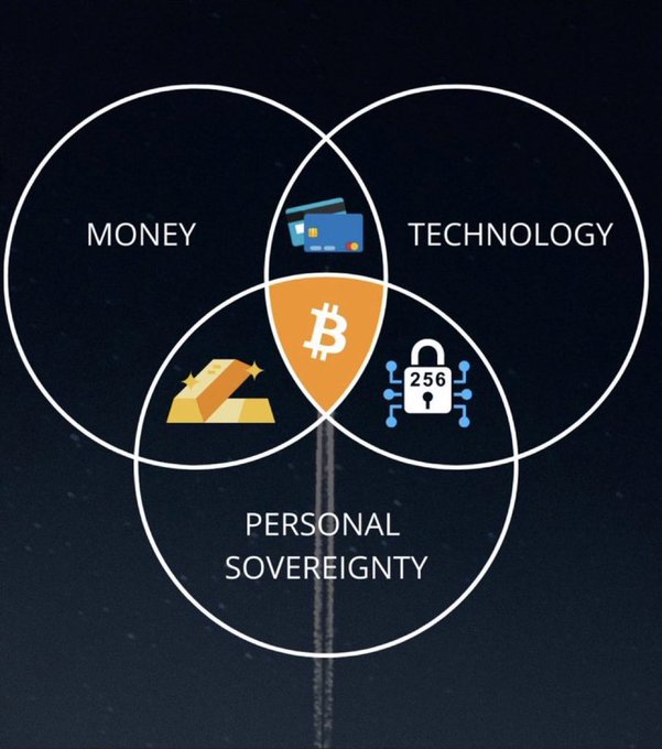 The image shows a logo for a company that specializes in creating logos about Bitcoin, with three overlapping circles representing "Money", "Technology", and "Personal Sovereignty". The largest circle contains an orange Bitcoin symbol, highlighting the company's focus on Bitcoin technology and money-related aspects of its services.