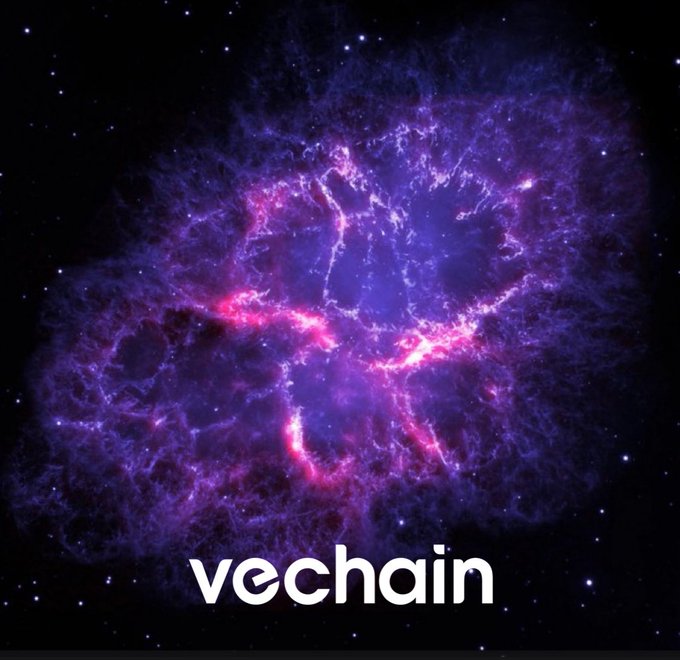 A vibrant purple and pink nebula in deep space with stars, overlaid with the 'vechain' logo at the bottom.