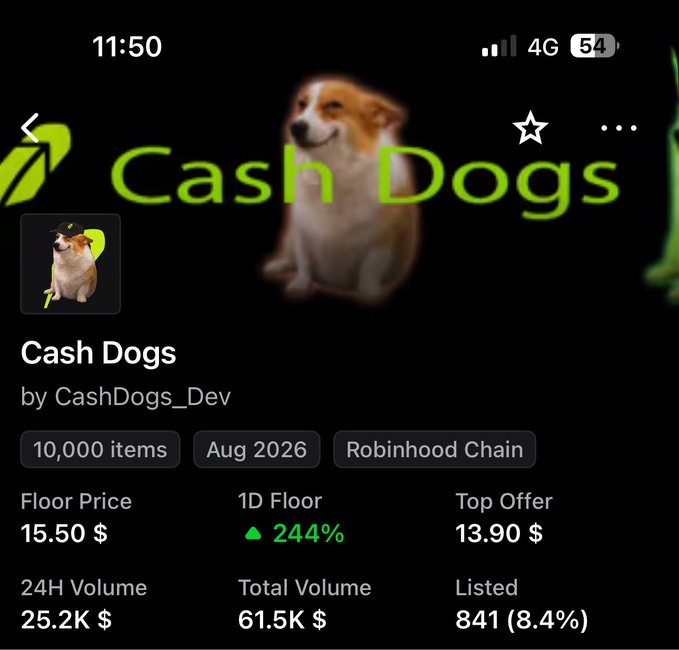 A screenshot of an NFT marketplace shows the 'Cash Dogs' collection by CashDogs_Dev with 10,000 items, a floor price of $15.50, and 244% increase.