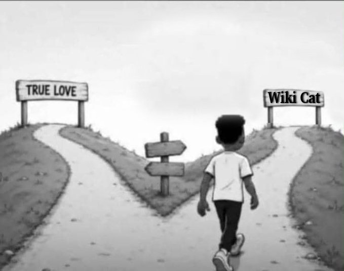 A black and white illustration showing a young boy standing at a fork in the road, with signs pointing to 'TRUE LOVE' on the left and 'Wiki Cat' on the right.