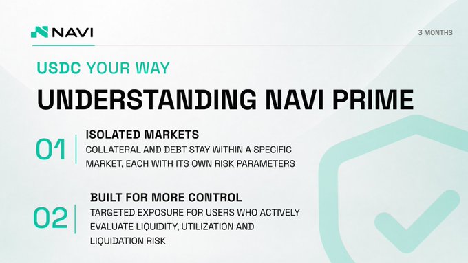 A NAVI promotional slide titled 'UNDERSTANDING NAVI PRIME' with 'USDC YOUR WAY' subtitle, featuring '01 ISOLATED MARKETS' and '02 BUILT FOR MORE CONTROL' points alongside a checkmark graphic.
