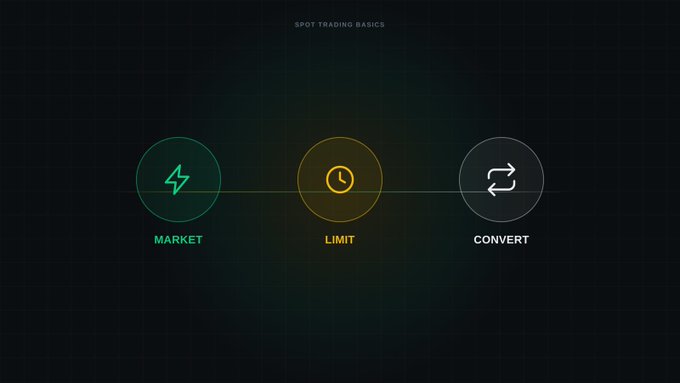 An infographic titled 'SPOT TRADING BASICS' displays three order types in circles: MARKET (green lightning bolt), LIMIT (yellow clock), and CONNECT (gray arrows).