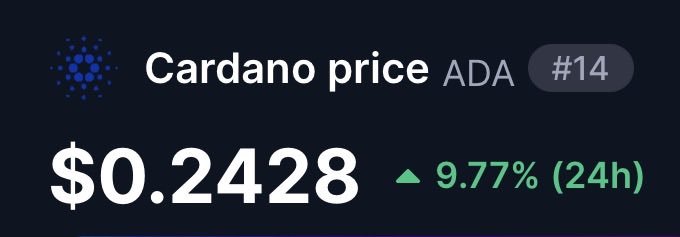 A cryptocurrency price display shows 'Cardano price ADA #14' at $0.2428, indicating a 9.77% increase over 24 hours with the Cardano logo on a dark background.