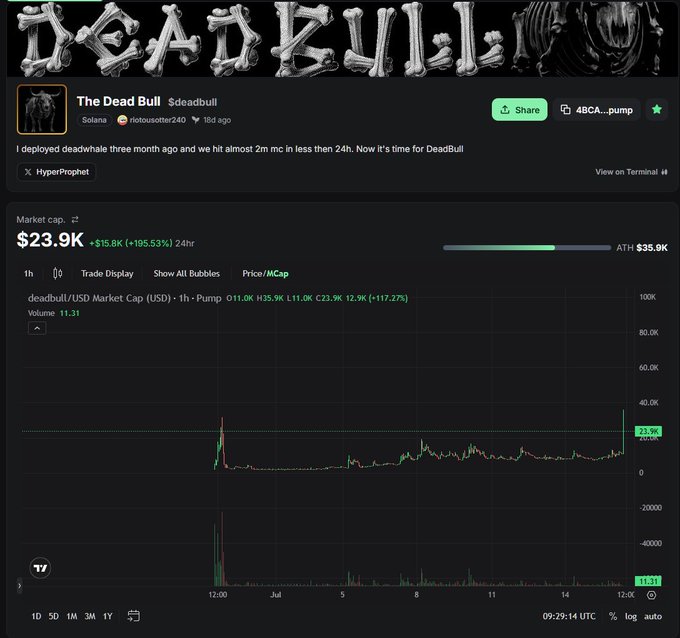 Screenshot of a DexScreener page for "The Dead Bull" ($deadbull) token on Solana, showing a market cap of $23.9K with a +195.53% gain in 24 hours.