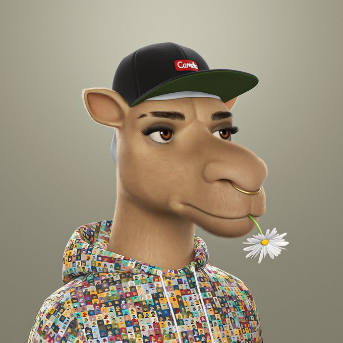 A 3D-rendered anthropomorphic character wearing a black 'Carrots' cap, a nose ring, and a colorful hoodie, holding a daisy in their mouth.