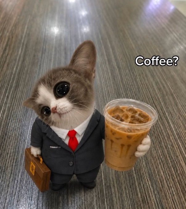 A tiny kitten in a business suit with a red tie holds up an iced coffee and a briefcase, with the caption "Coffee?" floating beside it — perfectly matching the post's playful "morning coffee always hits diff" vibe by turning the relatable coffee routine into a cute, dapper feline moment.
