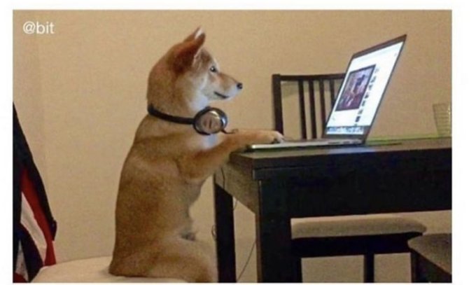 A Shiba Inu dog with headphones around its neck sits at a laptop on a desk, with '@bit' text in the corner and an American flag visible in the background.