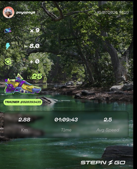STEPN GO walking app screenshot showing user 'poyopoye' (Trainer #828393435) with a Level 25 Walker sneaker earning x9 sneaker tokens and -8.0 energy, completing 2.88 km in 01:09:43 at 2.5 avg speed.
