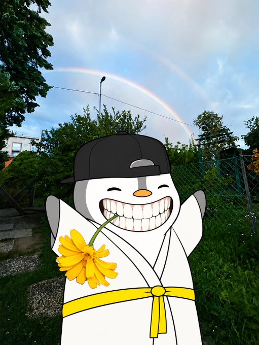 An edited image featuring a meme-style smiling cartoon face wearing a backwards cap and a martial arts robe with yellow belt, holding a yellow flower, set against a background of a real garden with a rainbow in the sky.