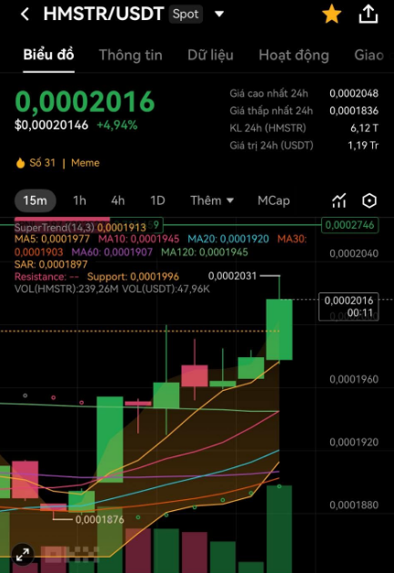 A cryptocurrency trading chart displaying the HMSTR/USDT spot pair price at 0.0002016 USDT with a +4.94% gain, featuring candlestick patterns, moving averages (MA5, MA10, MA20, MA30), and Vietnamese-language interface elements.