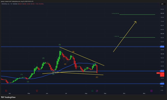 A daily candlestick chart of Wintrust Financial (WTFC) showing Elliott Wave analysis with a descending wedge pattern, where wave (2) completed around $44-46 and wave (C) is developing, with projected extension targets marked at 1:1 ratio ($76.74) and 1:1.618 ratio (~$90), suggesting a bullish breakout.