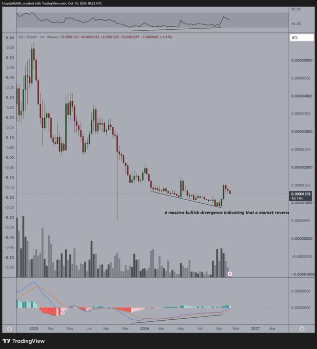 A TradingView weekly candlestick chart of SUI/Bitcoin shows price consolidating near -0.00001259 (4d 14h) with a noted "massive bullish divergence" annotation pointing to a potential reversal from recent lows. The chart supports the post's bullish thesis on adding SUI to an altcoin portfolio, visually highlighting the technical divergence signal that suggests an upcoming market reversal.