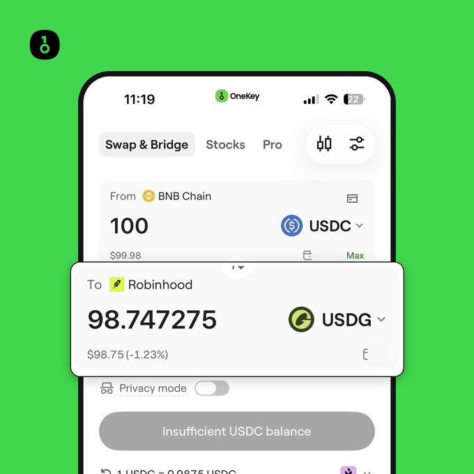 OneKey app interface showing a Swap & Bridge function swapping 100 USDC from BNB Chain to approximately 98.747275 USDG on Robinhood.