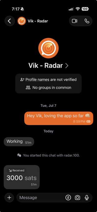 A chat interface on a messaging app with 'Vik - Radar' showing a sent message 'Hey Vik, loving the app so far' and a received payment of 3000 sats.