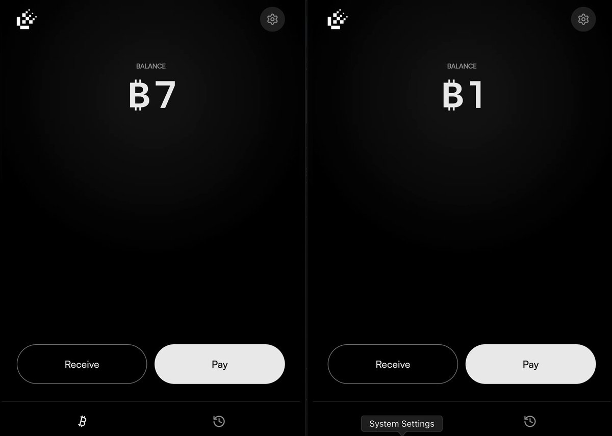 The image shows two cell phones with different screens displaying the same Bitcoin payment system. The first phone has a black screen, while the second one has a white background. Both phones have a "Pay" button at the bottom of their screens, indicating that they are designed for Bitcoin payments. The text on the screens suggests that these devices are part of a Bitcoin-denominated payments network, which aims to provide improved privacy and security compared to traditional payment systems.

The post about Bitcoin payments is related to this image because it highlights how Bitcoin technology can be integrated into everyday life through mobile devices like cell phones. The focus on the screens with Bitcoin-related information emphasizes the importance of these devices in facilitating transactions using Bitcoin as a means of exchange.