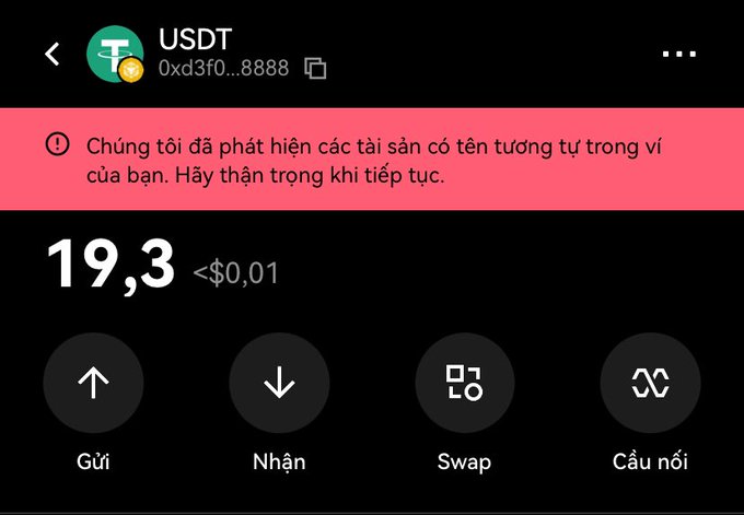 A cryptocurrency wallet interface displaying a USDT balance of 19.3 (less than $0.01) with a Vietnamese warning about similarly named assets, and action buttons for Send, Receive, Swap, and Bridge.