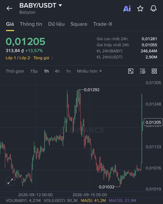 A cryptocurrency trading chart on Binance for the BABY/USDT pair shows the price at 0,01205 USDT with a 13,57% increase over a candlestick chart.