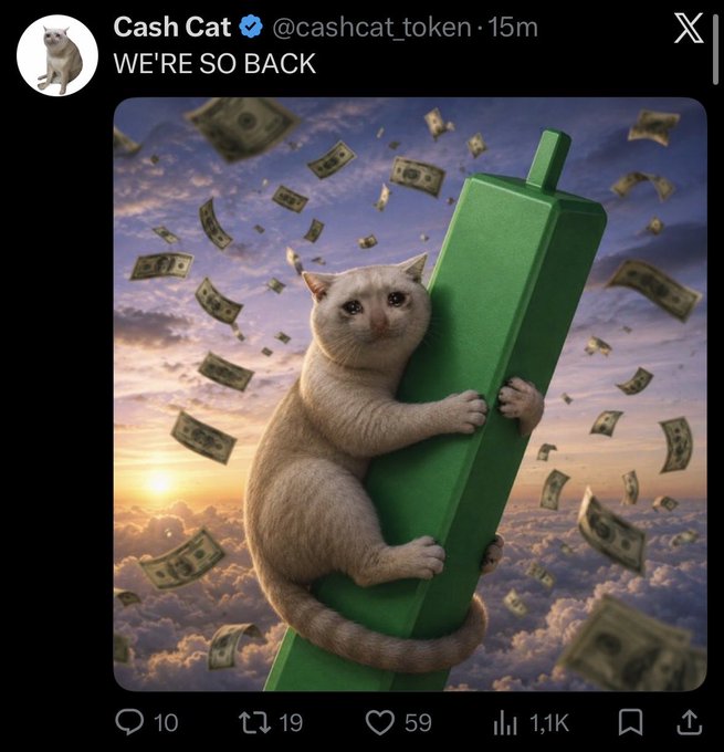 A screenshot of a tweet from the verified Cash Cat account (@cashcat_token) posted 15 minutes ago, captioned "WE'RE SO BACK," features a digital illustration of a white cat clinging to a giant green arrow pointing upward while dollar bills rain down from a cloudy sunset sky. The post has 10 replies, 19 reposts, 59 likes, and 1.1K views—but the accompanying note indicates the account is hacked, so the bullish "we're so back" message is fraudulent and should not be trusted.