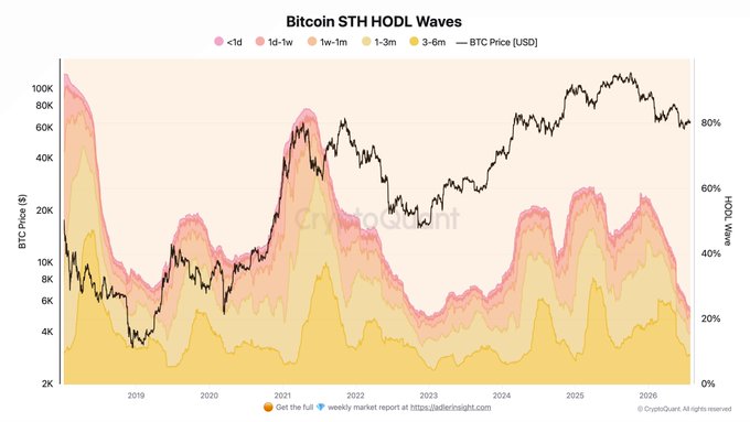 The image is a "Bitcoin STH HODL Waves" chart from CryptoQuant showing BTC Price [USD] overlaid with stacked area bands representing short-term holder bands (<1d, 1d-1w, 1w-1m, 1-3m, 3-6m) plotted against %HODL Wave (0-100%) from 2019 through 2026. The chart visually supports the post's claim: the upper colored bands representing short-term holders have thinned considerably, while the long-term holder proportion (the blank area above) is near record highs, illustrating the supply shift into strong hands as STH ownership hovers around 23%.